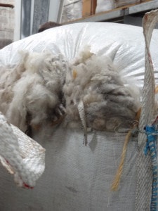 Bales of wool awaiting processing