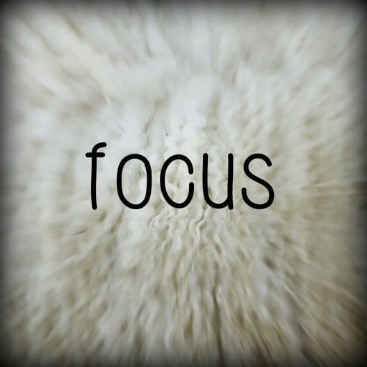 focus