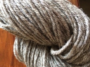 Silvery grey Romney