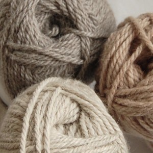 Chilla-Valley-Alpacas-Chunky-Alpaca-Shetland-Lambswool6